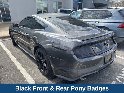 2019 Ford Mustang EcoBoost