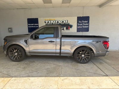 2024 Ford F-150 STORM CAT 2