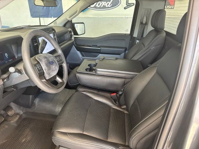 2024 Ford F-150 STORM CAT 2