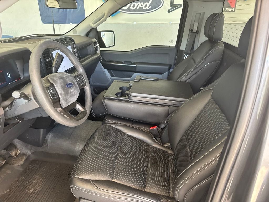 2024 Ford F-150 STORM CAT 2