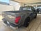 2024 Ford F-150 STORM CAT 2