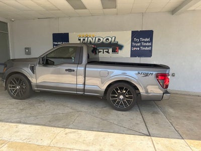 2024 Ford F-150 STORM CAT 2