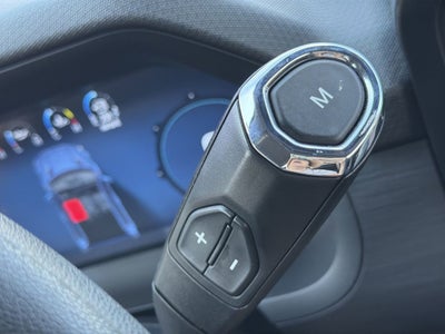 2024 Ford F-150 STORM CAT 2