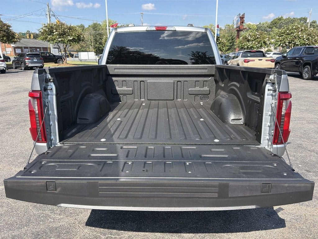 2024 Ford F-150 STORM CAT 2