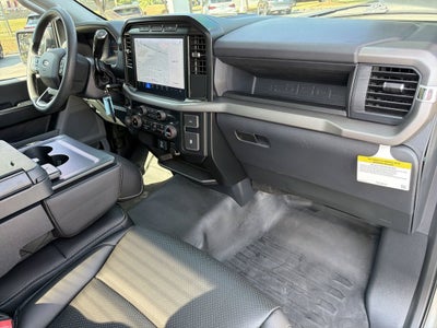 2024 Ford F-150 STORM CAT 2