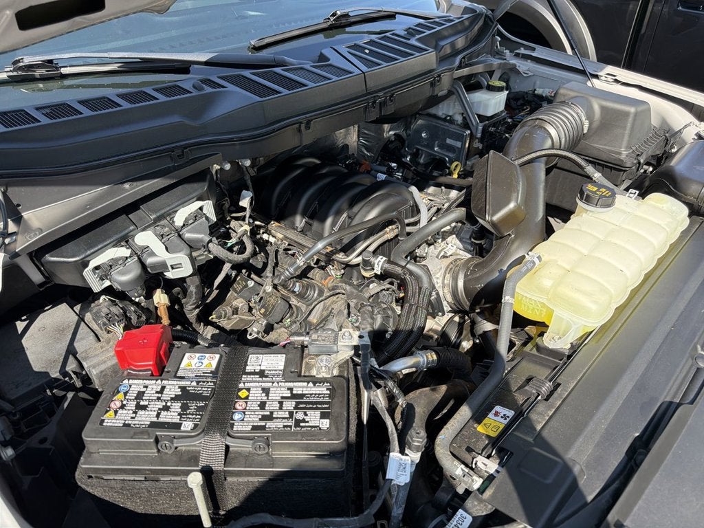 2024 Ford F-150 STORM CAT 2