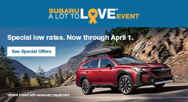 A lot to Love 2024 | Tindol Subaru in Gastonia NC