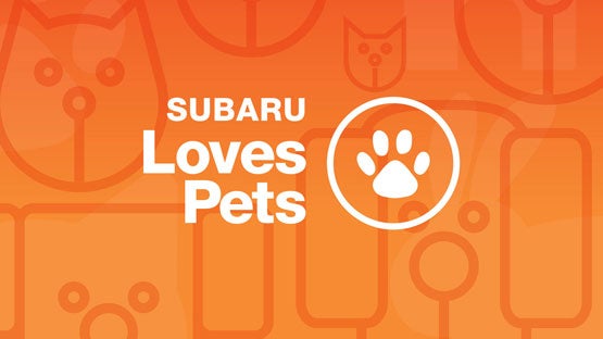 Tindol Subaru in Gastonia NC