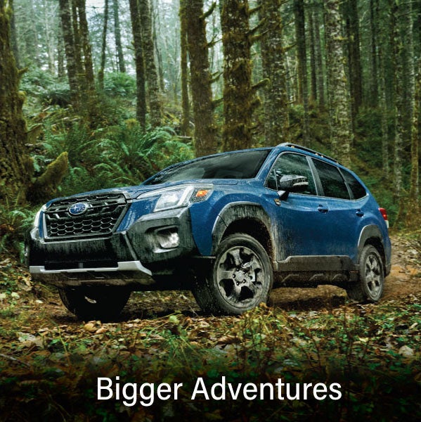 A blue Subaru outback wilderness with the words &ldquo;Bigger Adventures&ldquo;. | Tindol Subaru in Gastonia NC